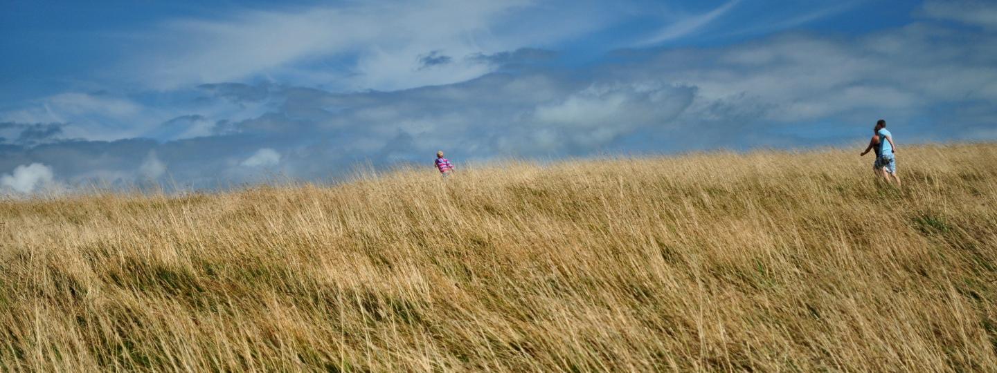 Duinlandschap